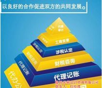 會(huì)計(jì)代理記帳章程優(yōu)質(zhì)商家置頂推薦產(chǎn)品